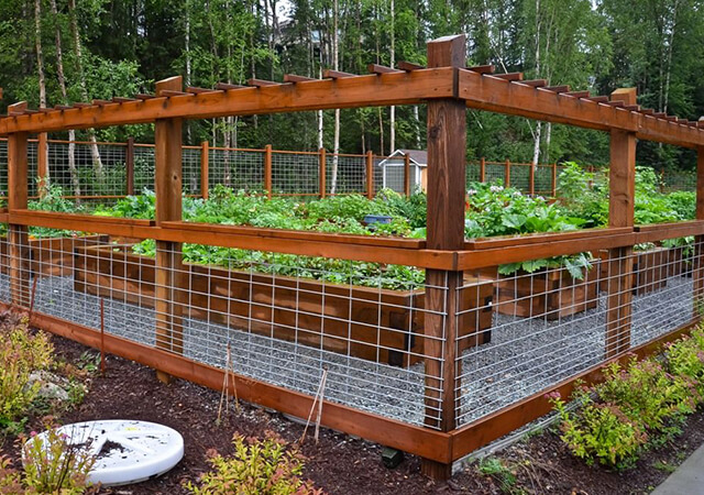 seven very cheap garden fence ideas