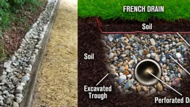 french drain